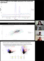 End of Summer Research Project Presentations